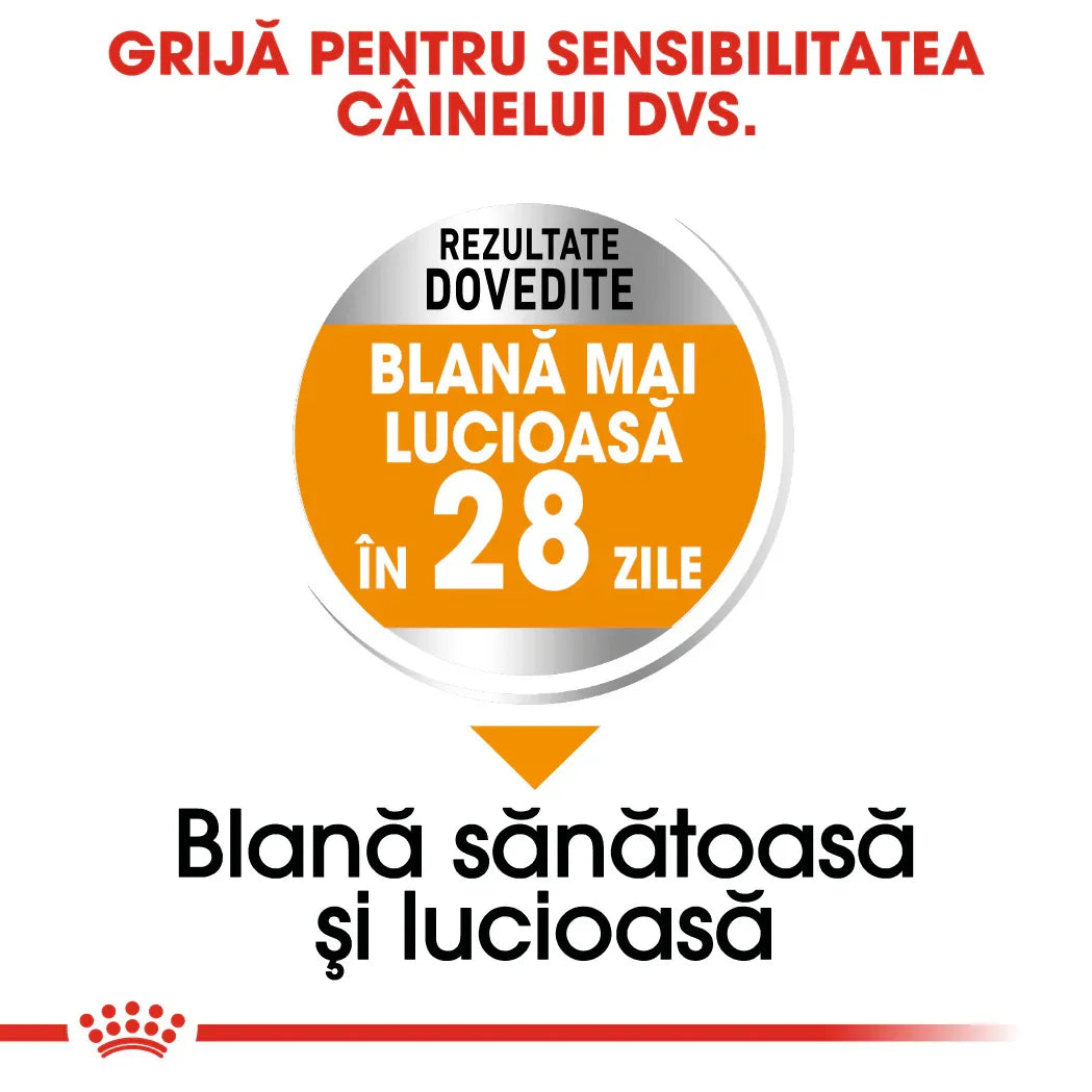 Romanian pet care label claiming shiny coat in 28 days with proven results for sensitive dogs