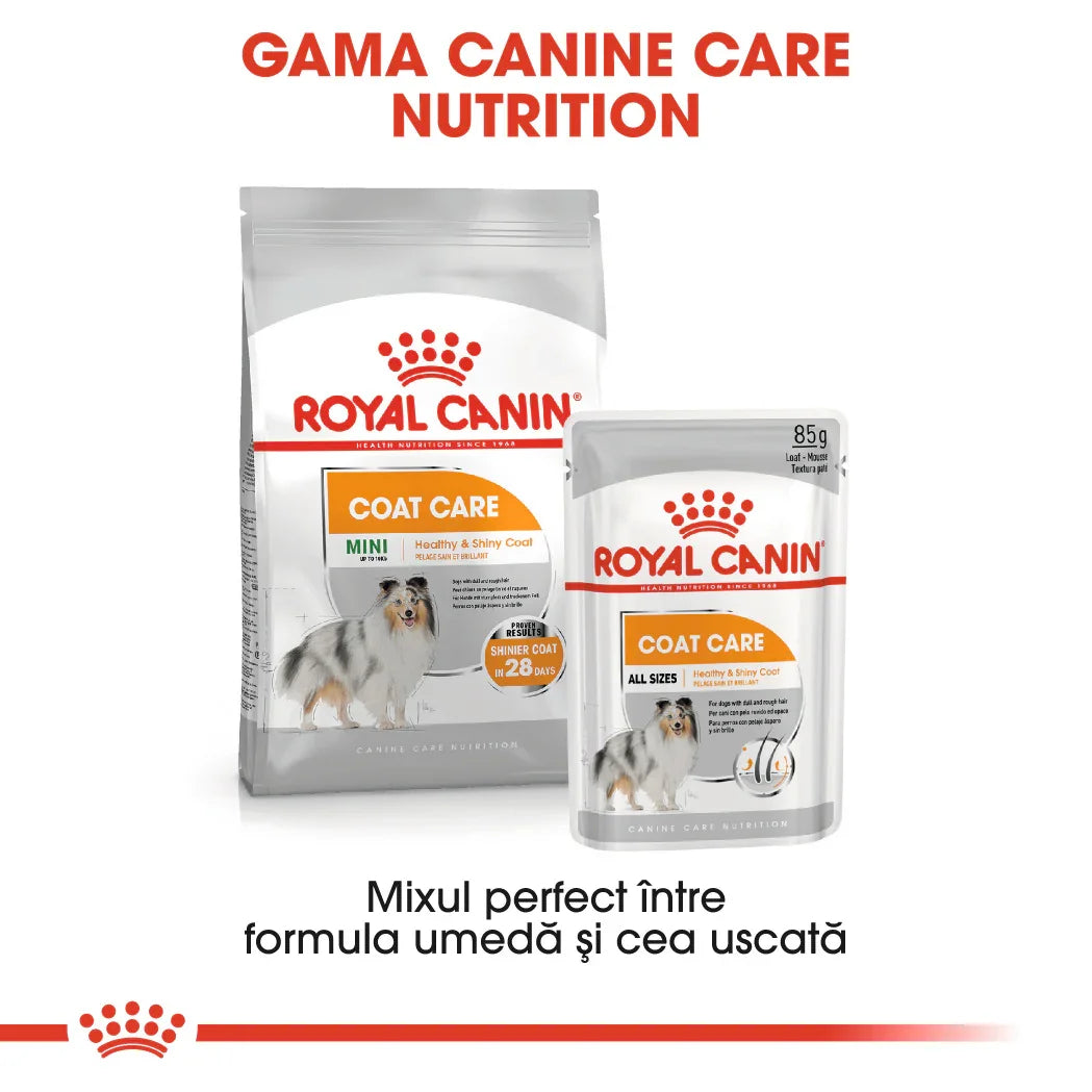 Royal Canin Coat Care dog food for healthy and shiny coat, mini and all sizes, dry and wet formula