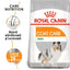 Royal Canin Mini Coat Care Adult hrana uscata caine, blana sanatoasa si lucioasa