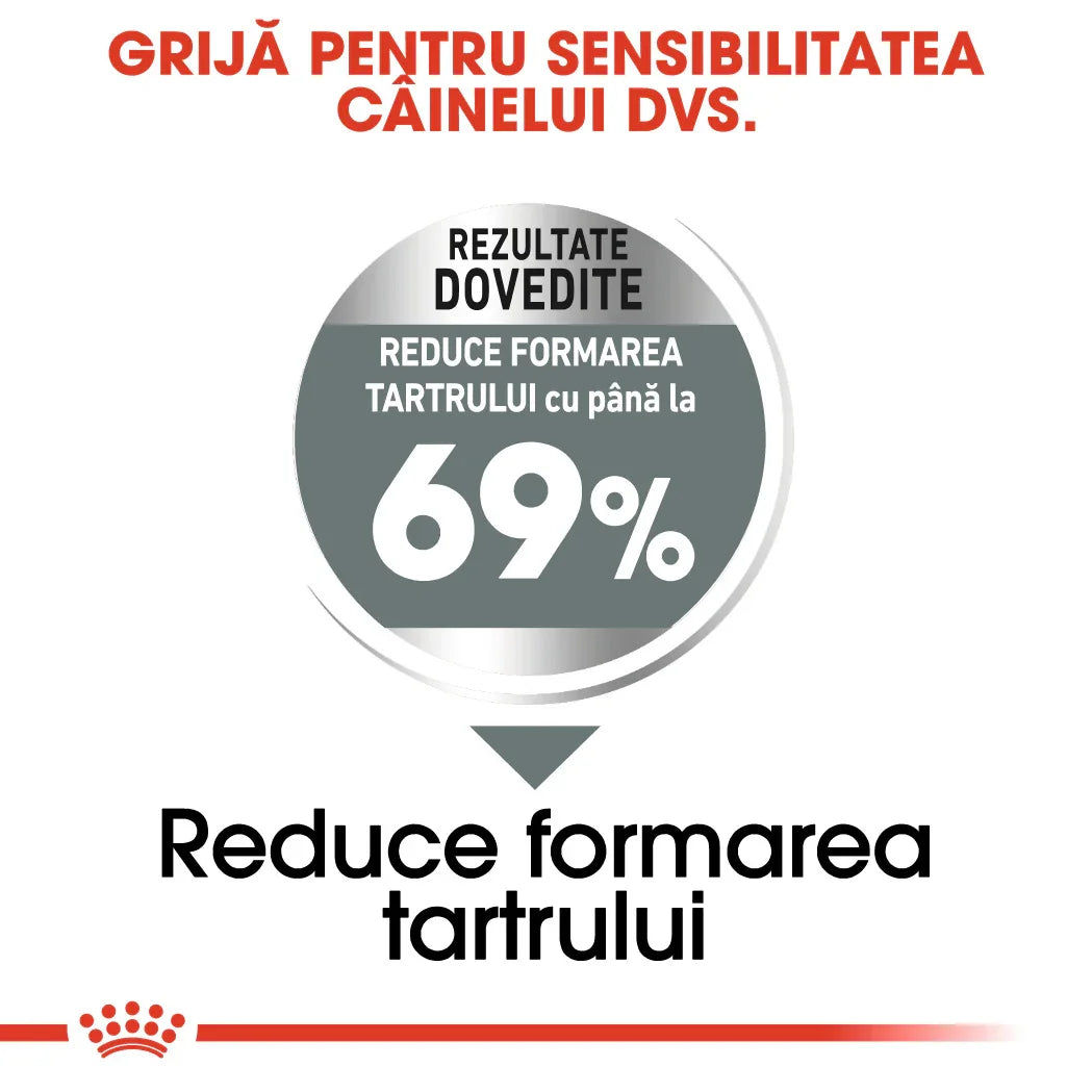 Romanian dental care message for dogs reducing tartar formation by up to 69% with proven results