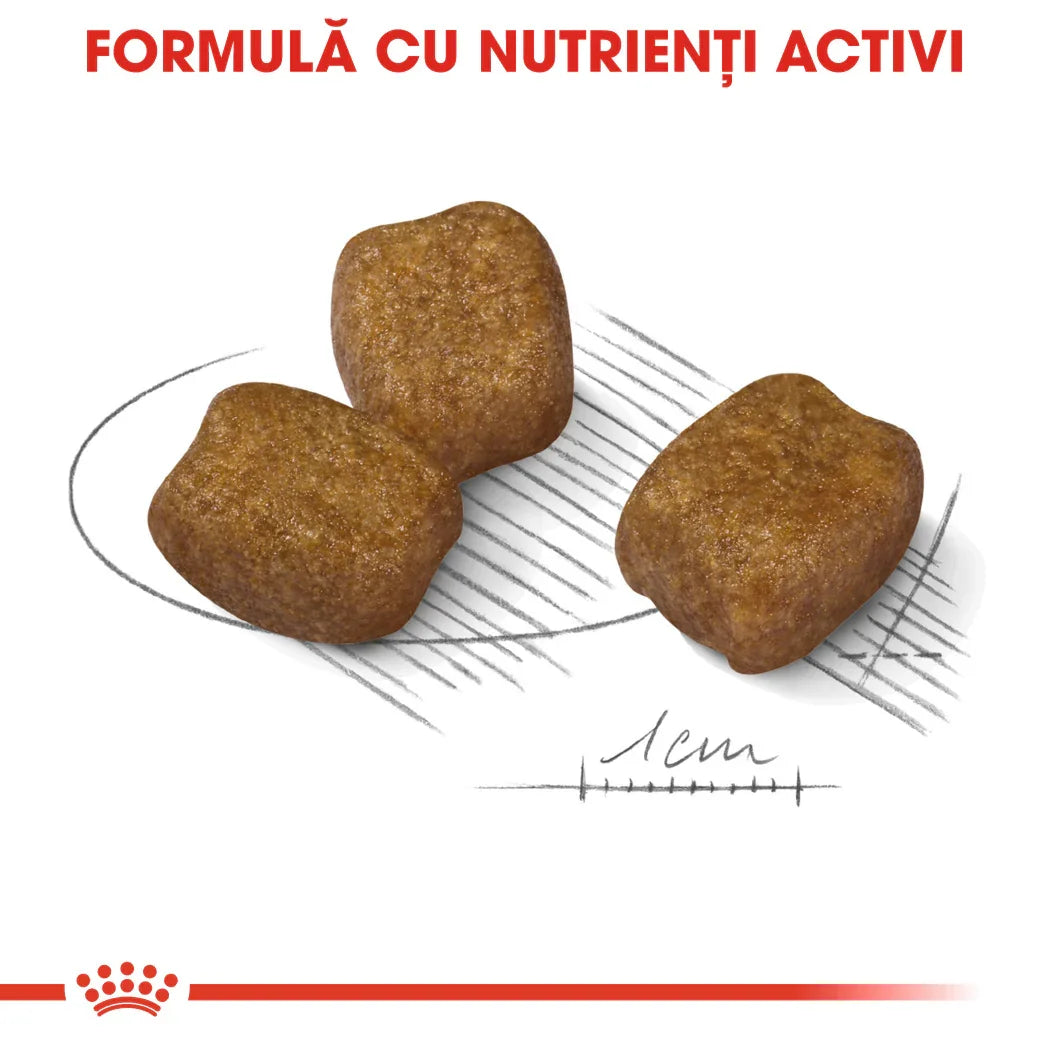 Three brown pet food kibble pieces with 1 cm scale and text 'FORMULĂ CU NUTRIENȚI ACTIVI' in red