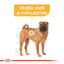 Royal Canin Medium Dermacomfort hrana uscata caine, prevenirea iritatiilor pielii