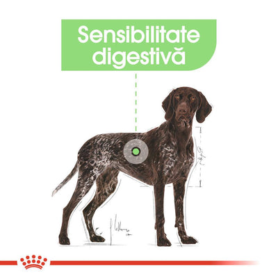Royal Canin Maxi Digestive Care hrana uscata caine, confort digestiv, 12 kg