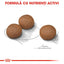 Royal Canin Medium Digestive Care hrana uscata caine, confort digestiv