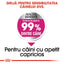 Royal Canin Mini Exigent hrana uscata caine, apetit capricios