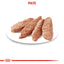 Royal Canin Light Weight Care Adult hrana umeda caine