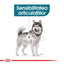 Royal Canin Maxi Joint Care Adult hrana uscata caine, ingrijirea articulatiilor, 10 kg