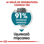 Royal Canin Maxi Joint Care Adult hrana uscata caine, ingrijirea articulatiilor, 10 kg