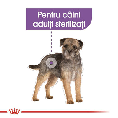 Royal Canin Sterilised Adult hrana umeda caine sterilizat (pate) 85 gr