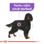 Royal Canin Maxi Sterilised Adult hrana uscata caine sterilizat