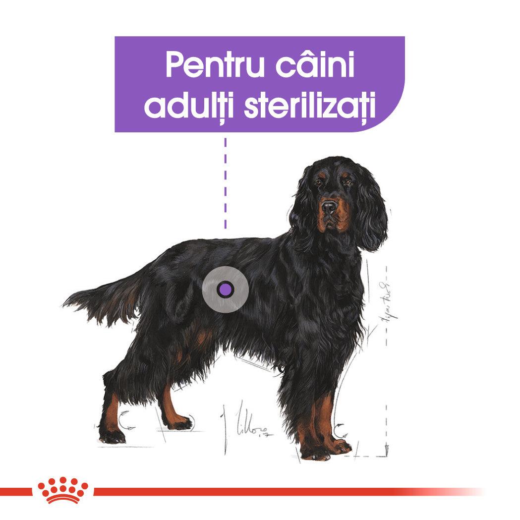 Royal Canin Maxi Sterilised Adult hrana uscata caine sterilizat