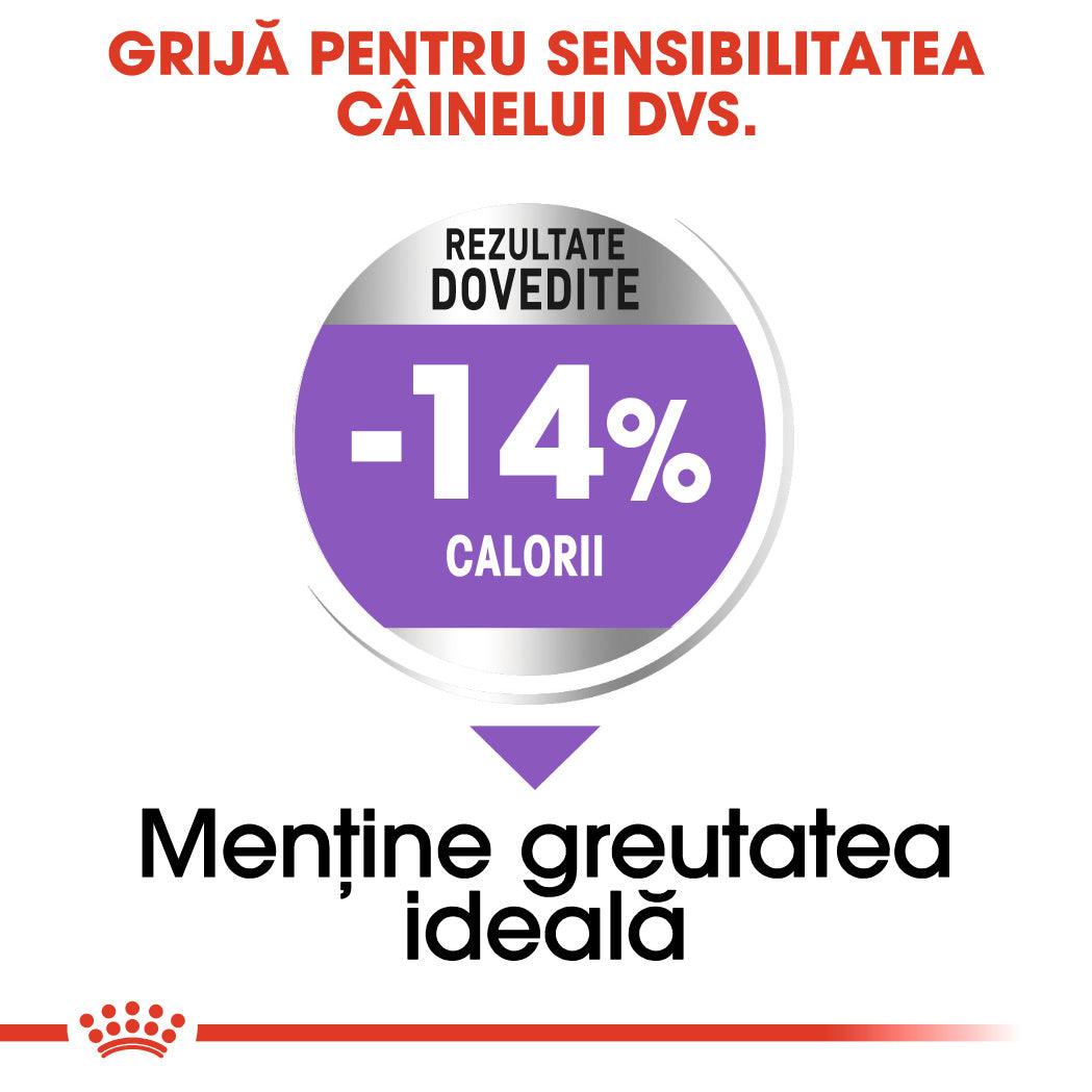 Royal Canin Maxi Sterilised Adult hrana uscata caine sterilizat