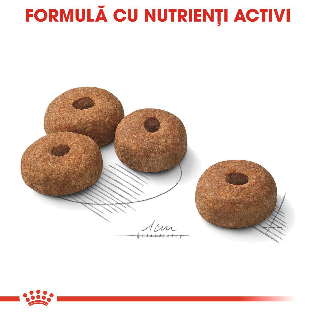 Royal Canin Maxi Sterilised Adult hrana uscata caine sterilizat