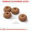 Royal Canin Medium Sterilised Adult hrana uscata caine sterilizat