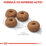 Royal Canin Medium Sterilised Adult hrana uscata caine sterilizat
