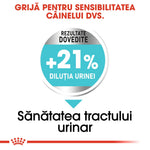 Romanian text promoting dog urinary tract health with proven 21% urine dilution benefits