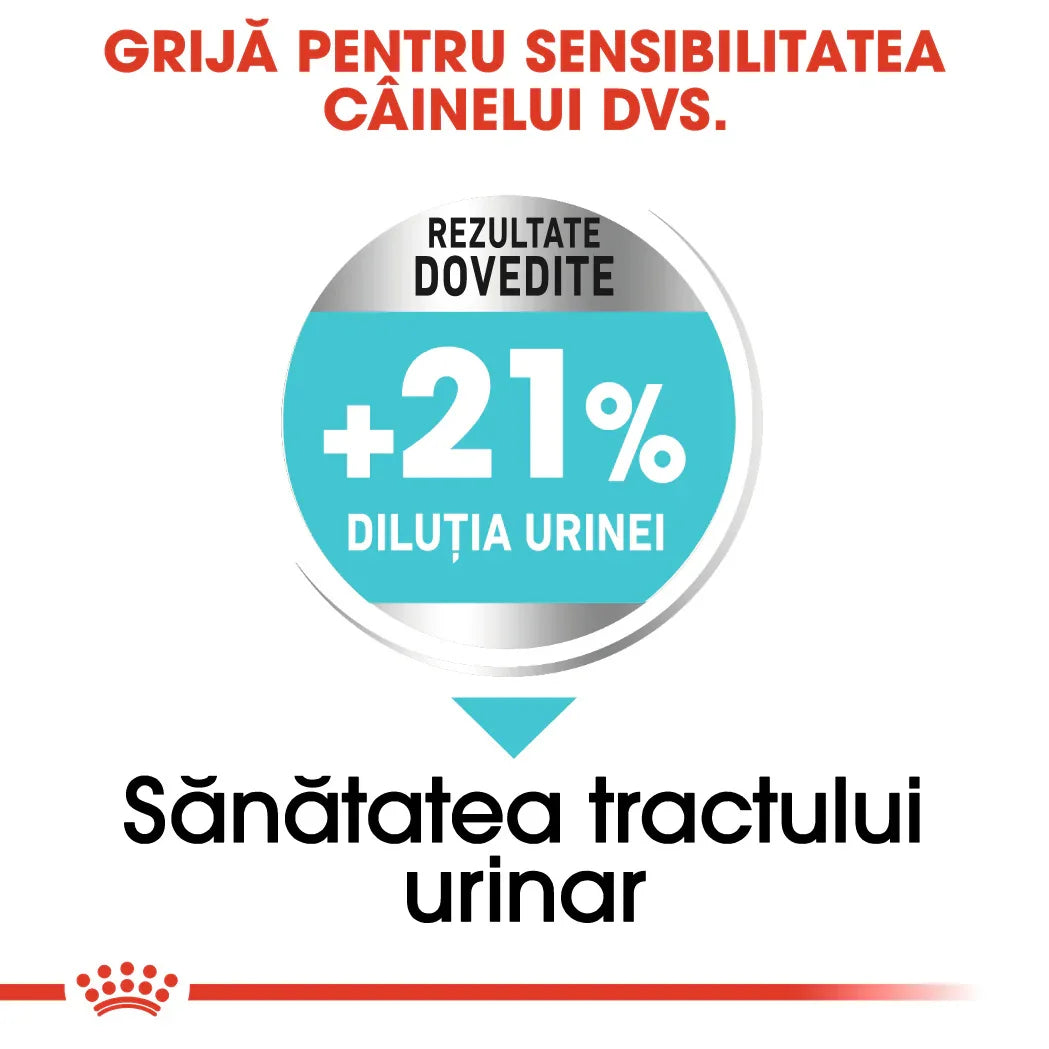 Romanian text promoting dog urinary tract health with proven 21% urine dilution benefits