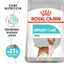 Royal Canin Mini Urinary Care hrana uscata caine, sanatatea tractului urinar