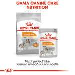 Royal Canin Coat Care Adult hrana umeda caine, blana sanatoasa si lucioasa (pate), 85 g