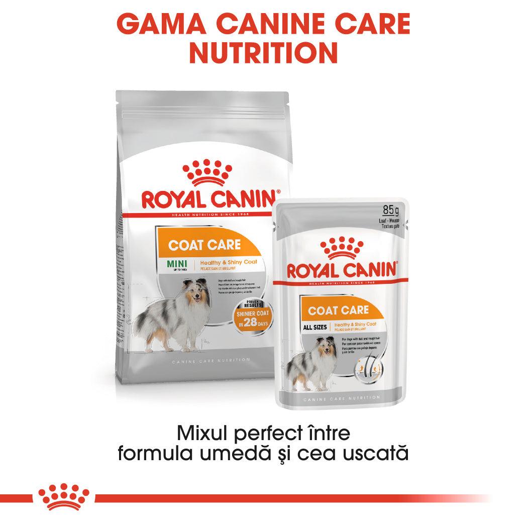 Royal Canin Coat Care Adult hrana umeda caine, blana sanatoasa si lucioasa (pate), 85 g