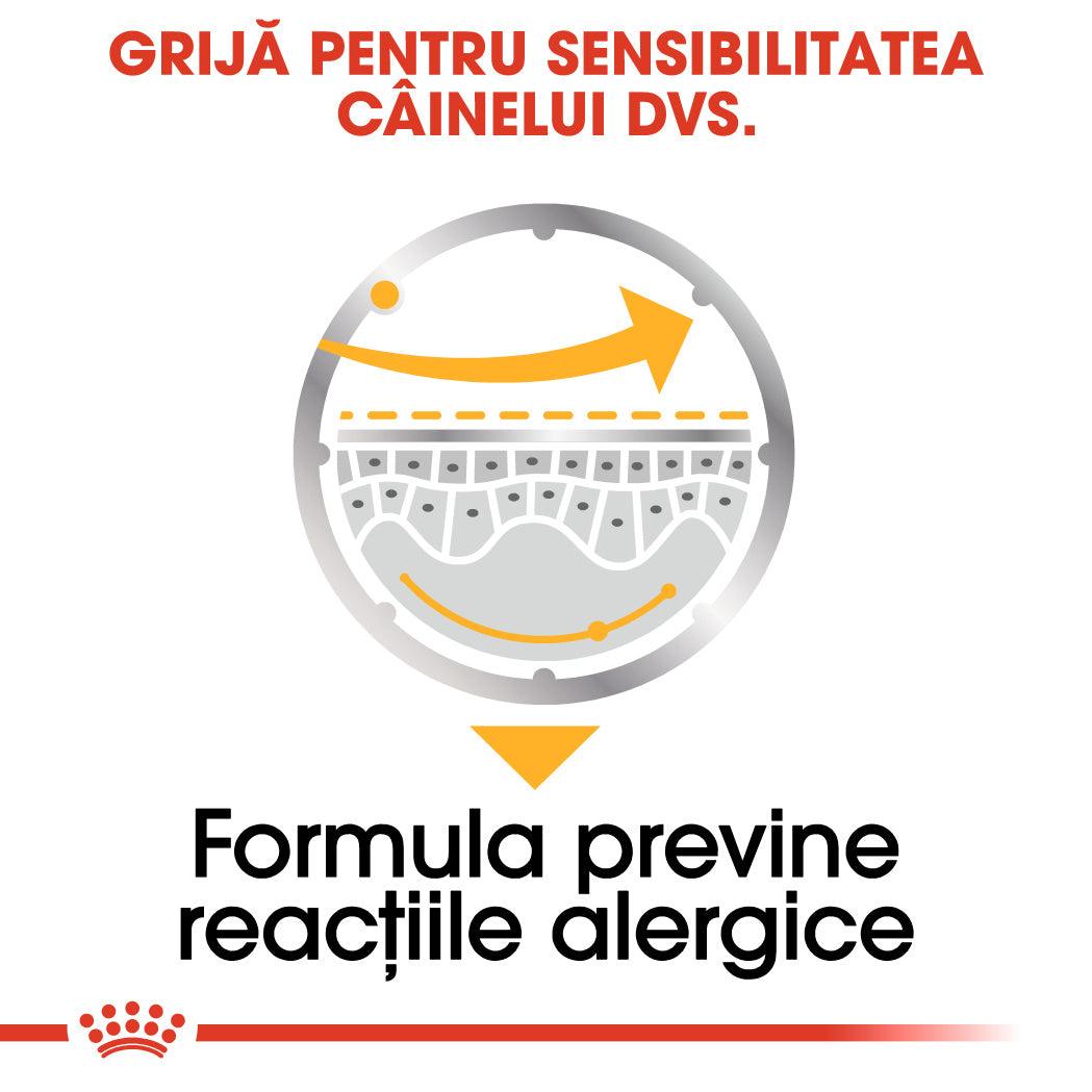 Royal Canin Dermacomfort Adult hrana umeda caine, prevenirea iritatiilor pielii (pate), 85 g