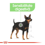 Royal Canin Digestive Care Adult hrana umeda caine, confort digestiv (pate), 85 g