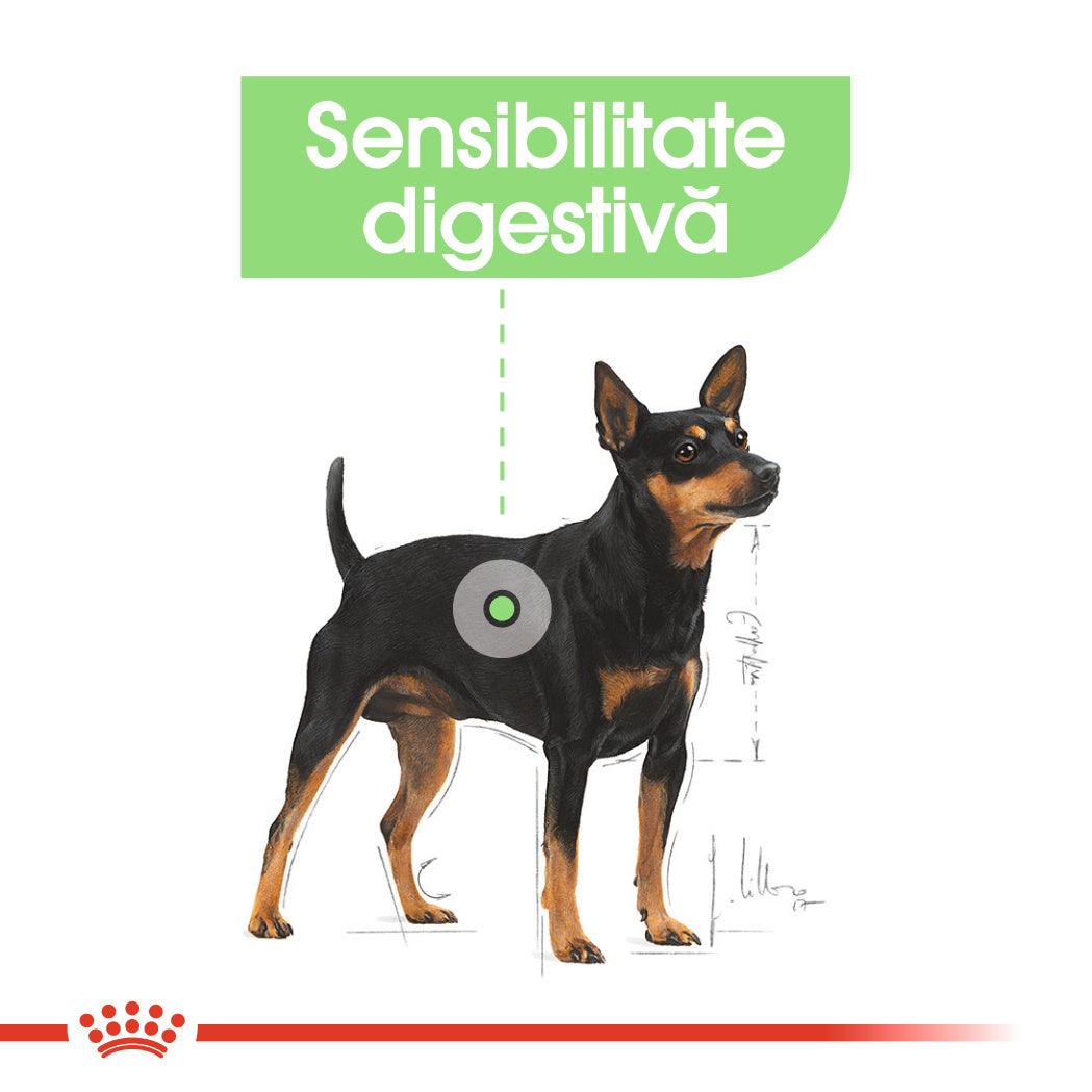 Royal Canin Digestive Care Adult hrana umeda caine, confort digestiv (pate), 85 g