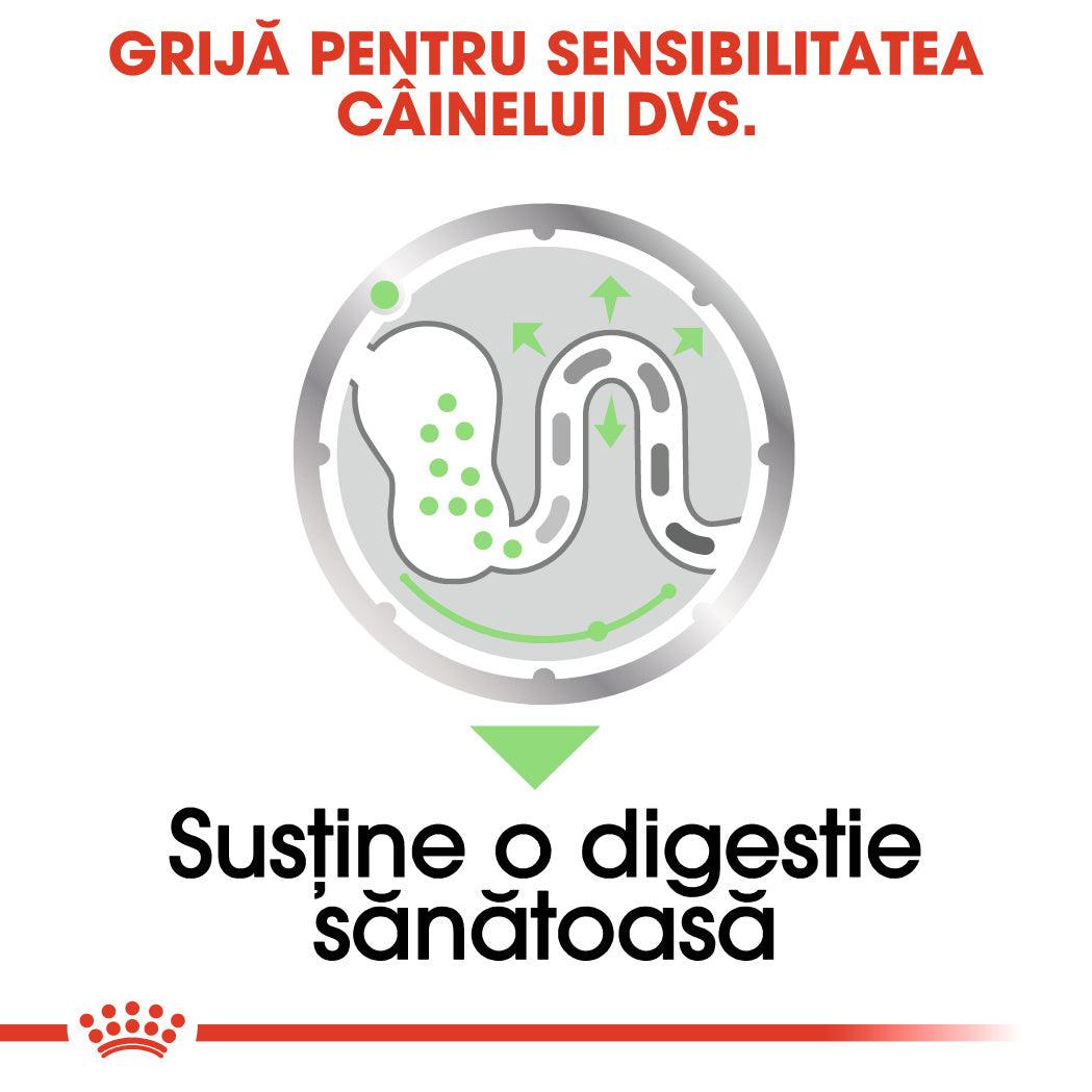 Royal Canin Digestive Care Adult hrana umeda caine, confort digestiv (pate), 85 g