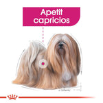 Câine Lhasa Apso cu apetit capricios, hrană specială pentru câini cu nevoi alimentare specifice