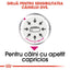 Royal Canin Exigent Adult hrana umeda caine, apetit capricios (pate), 85 g