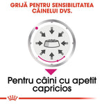 Hrana uscată pentru câini cu apetit capricios, formulă DVS pentru sensibilitatea digestivă