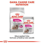 Hrana uscată și umedă Royal Canin Exigent pentru câini, formulă pentru apetit dificil, toate dimensiunile