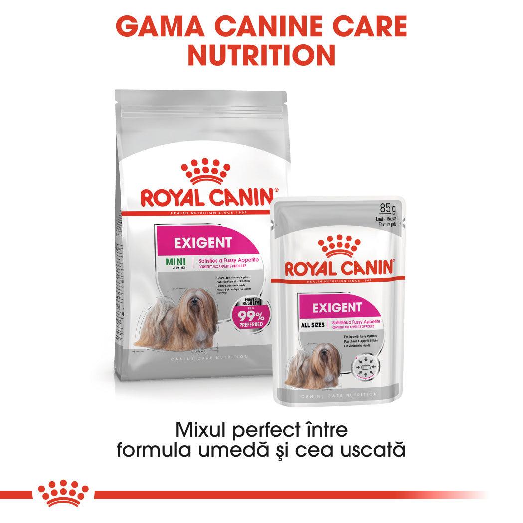 Hrana uscată și umedă Royal Canin Exigent pentru câini, formulă pentru apetit dificil, toate dimensiunile