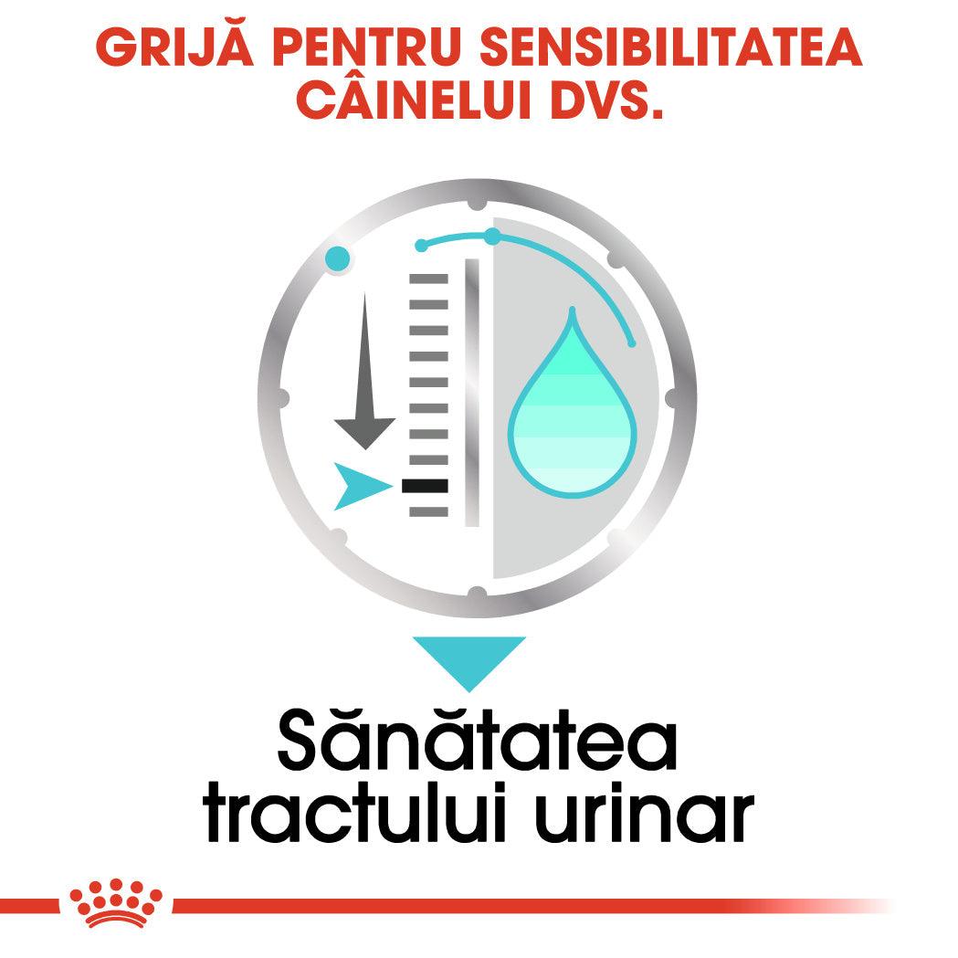 Royal Canin Urinary Care Adult hrana umeda caine, sanatatea tractului urinar (pate), 85 g