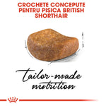 Tailor-made British Shorthair cat food kibble with unique shape for breed-specific nutrition