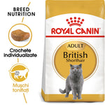 Royal Canin adult British Shorthair cat food bag with breed-specific kibble and muscle toning nutrition