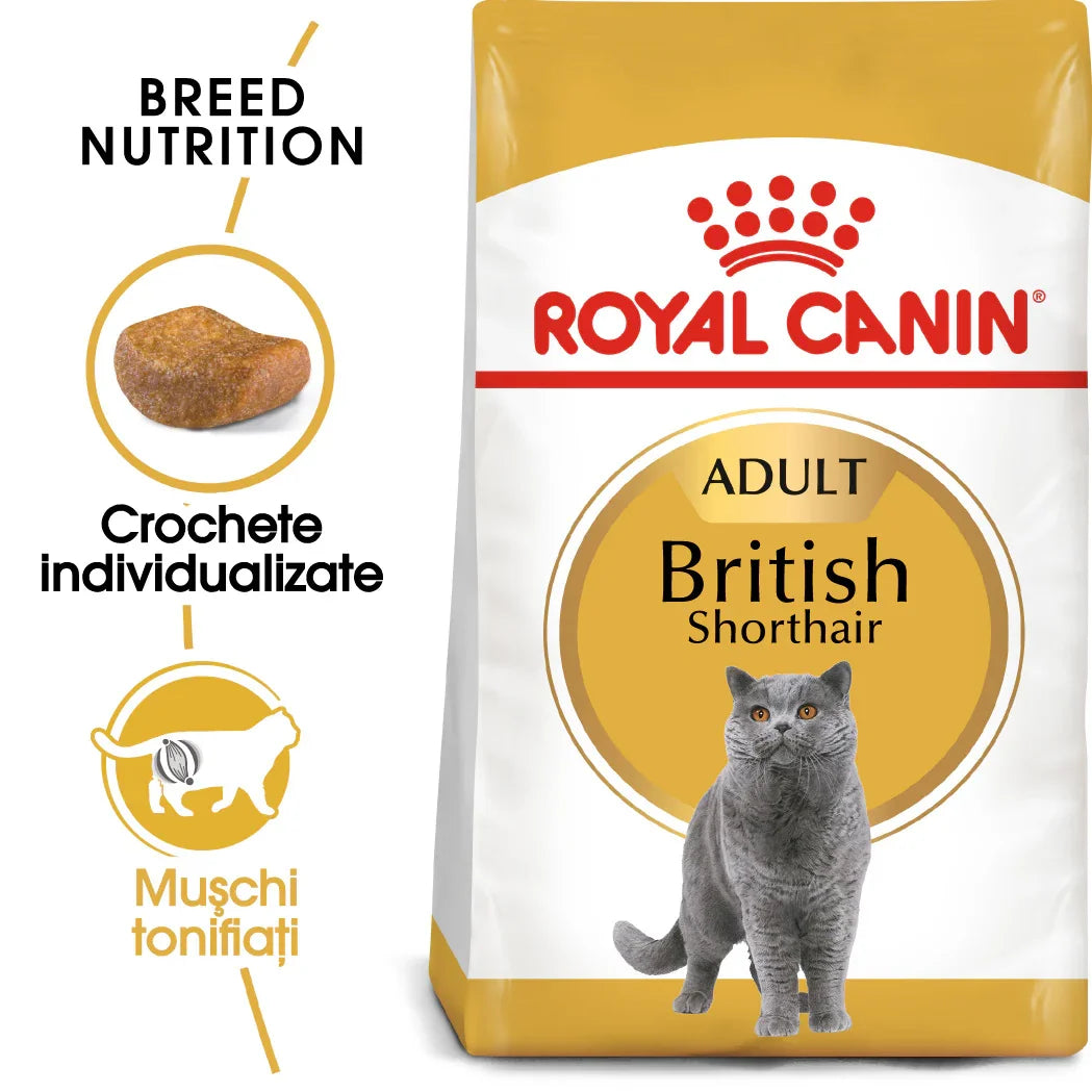 Royal Canin adult British Shorthair cat food bag with breed-specific kibble and muscle toning nutrition