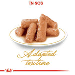 Plate of adapted texture wet pet food chunks in sauce on white background
