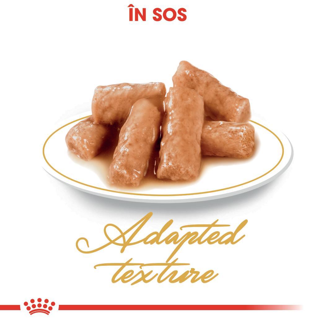 Plate of adapted texture wet pet food chunks in sauce on white background