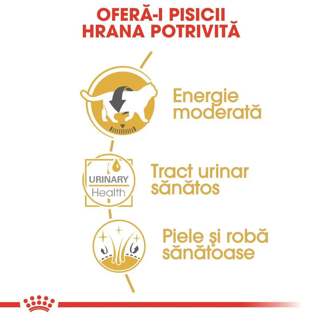 Infographic showing cat health benefits: moderate energy, healthy urinary tract, healthy skin and coat