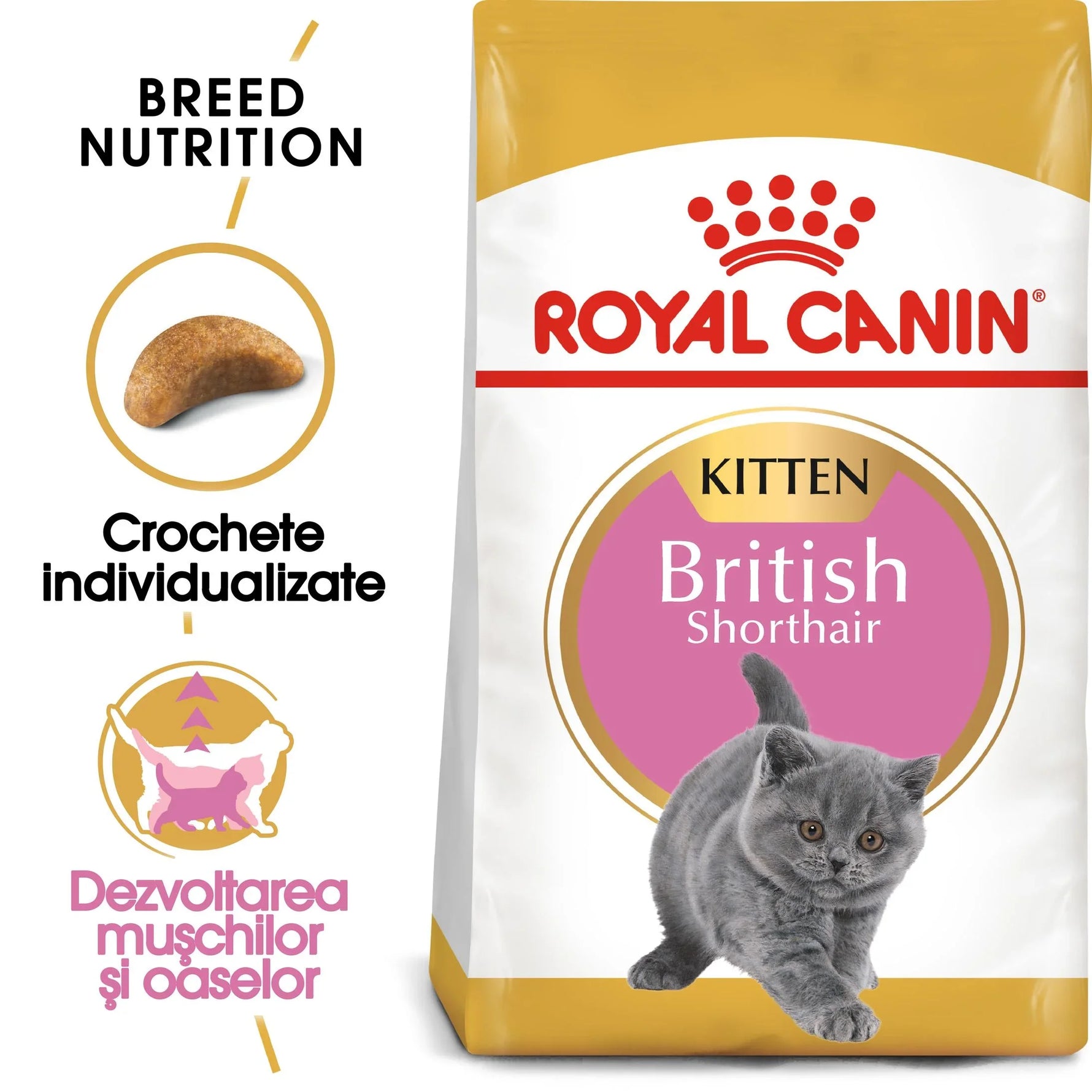 Royal Canin British Shorthair kitten dry cat food bag, promoting muscle and bone development