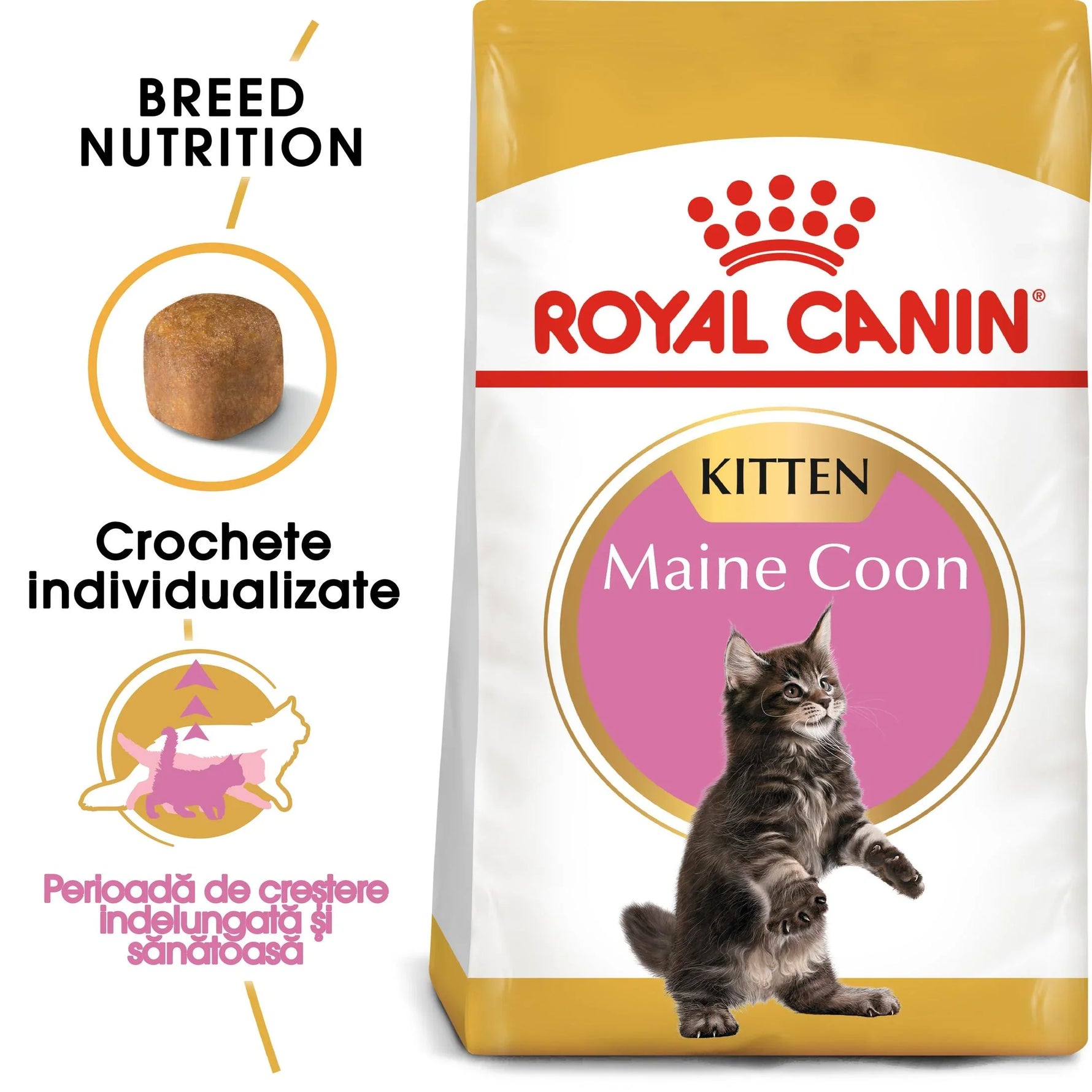 Royal Canin kitten food bag for Maine Coon with image of kitten and kibble illustration