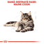 Royal Canin Maine Coon Adult hrana uscata pisica