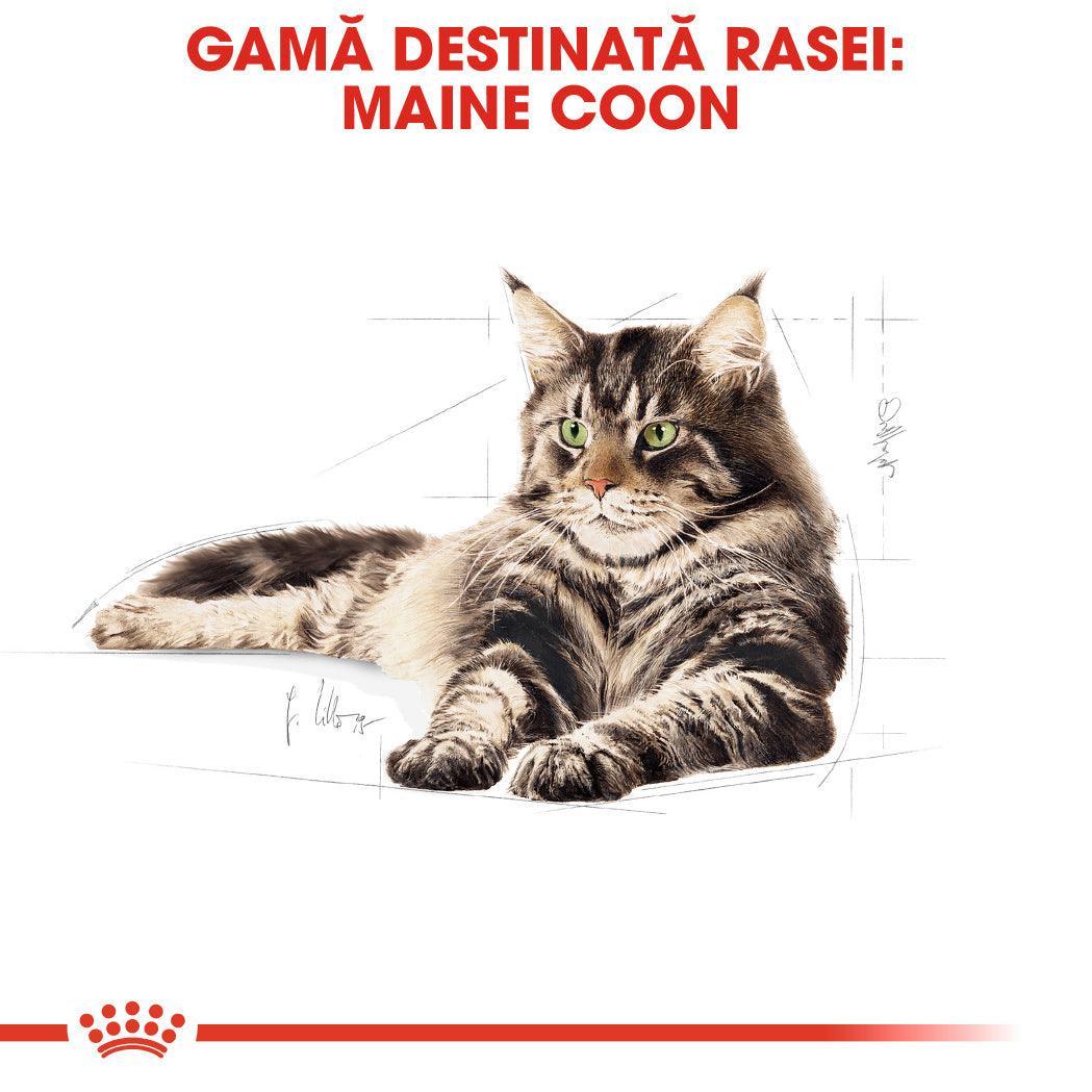 Illustration of a Maine Coon cat with green eyes and striped fur on a white background