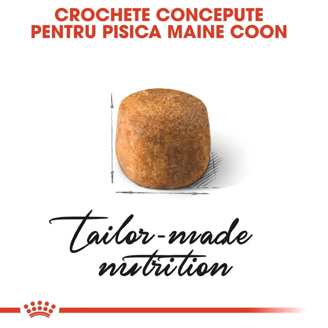 Close-up of single brown kibble piece designed for Maine Coon cats with text about tailor-made nutrition