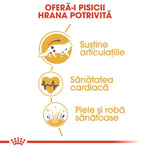 Infographic in Romanian promoting cat food benefits: supports joints, heart health, healthy skin and coat