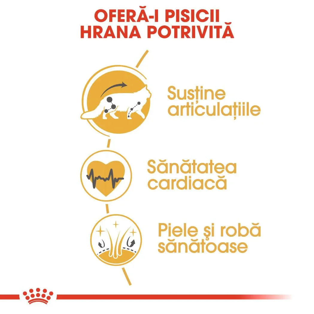 Infographic in Romanian promoting cat food benefits: supports joints, heart health, healthy skin and coat
