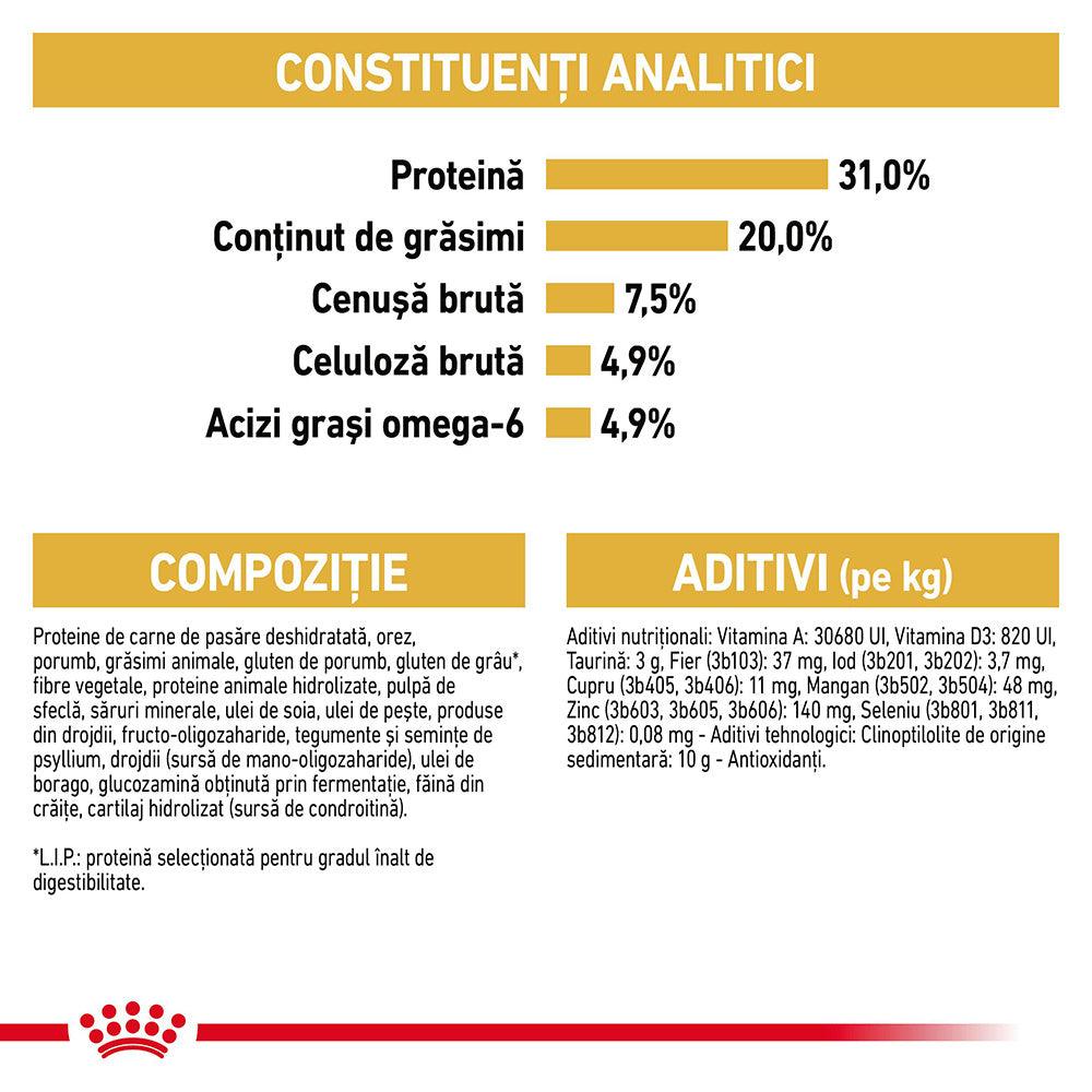 Royal Canin Maine Coon Adult hrana uscata pisica