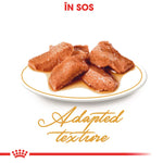 Plate with wet cat food chunks in sauce, labeled adapted texture for cats