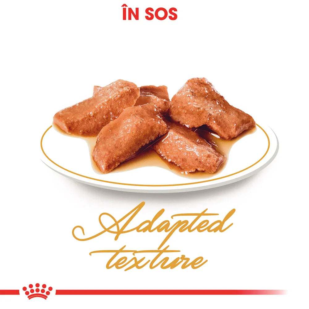 Plate with wet cat food chunks in sauce, labeled adapted texture for cats